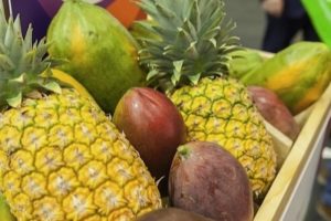 Mangolar ve Ananas Suyu - Cannabis'in Etkisini Uzatan Nedir?