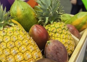 Über Mangos und Ananassaft – Was verlängert die Wirkung von Cannabis?