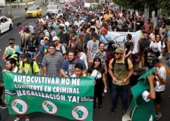 Mexiko: Cannabis-Aktivisten errichten Protestcamp Plantón 420