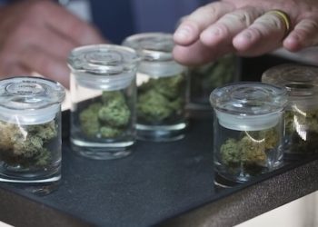 Rekord in Colorado: Cannabishandel mit 1,75 Milliarden Dollar Umsatz