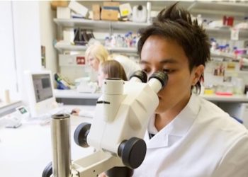 Bachelor of Cannabis an der Universität von Colorado