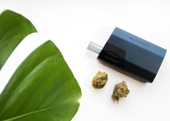 Der ÄRIS von WOLKENKRAFT – Vapen auf höchstem Niveau