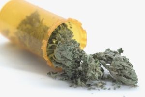 Kannabis ve Bechterew Hastalığı: Tedavi Seçeneği Olarak Araştırılmakta