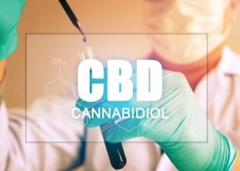 Frankreich: Umfangreiche Cannabis-Studie soll Klarheit schaffen