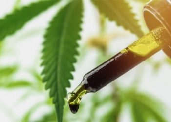 EIHA erfolgreich gegen BVL: CBD ist nicht zwingend Novel Food