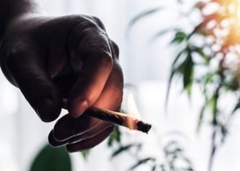 Der Einfluss einer Legalisierung auf den Cannabiskonsum Minderjähriger