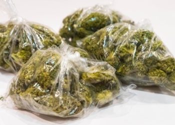 Bremen lockert Grenzwerte für geringe Menge