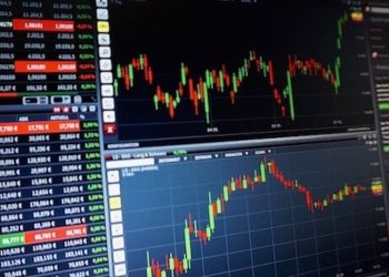 Mit Hanf an der Börse