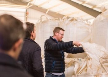 Im Bauch des Monsters