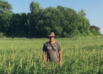 Neurogan – Die Geschichte von Hanf und Hygge