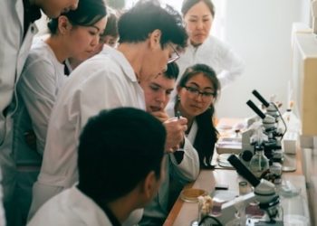 Studie: Potenzial von CBD bei Gehirnerkrankung bestätigt