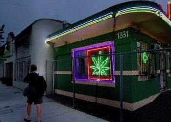 Ausgangssperre USA – Cannabisshops bleiben geöffnet