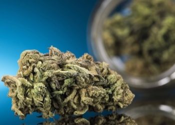 Über die Nachweisbarkeit von THC