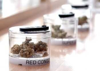 Anstieg-der-CBD-Nachfrage-in-Großbritannien