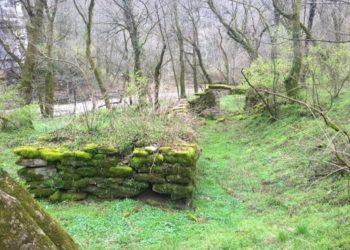 Der Kentucky Hanf-Highway: Cannabis-Tourismus auf dem nächsten Level