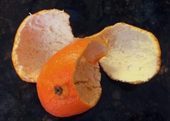 Japanische Firma entwickelt CBD-Öl aus Orangenschalen