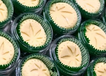 Malantis – Hanf für Mensch und Tier