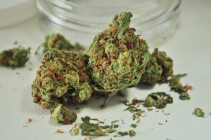 Microdosing - die rauschfreie Alternative