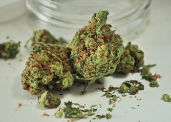 Microdosing – die rauschfreie Alternative