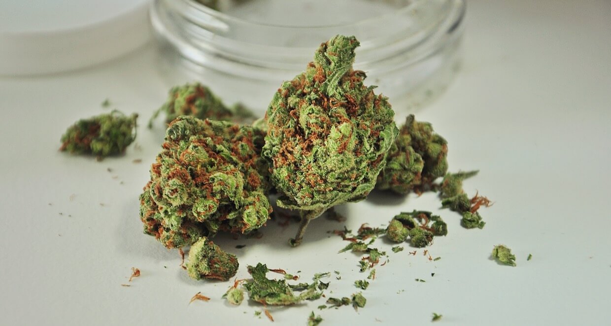 THC in der Medizin Hanf Magazin