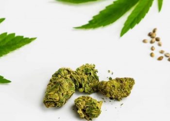 Arbeitsgemeinschaft-Cannabis-als-Medizin