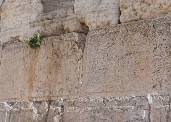 Cannabis-Fund in 2.700 Jahre altem Tempel