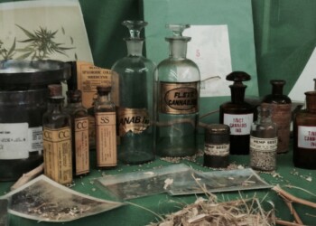 Die-verschiedenen-Arten-cannabisbasierter-Arzneimittel