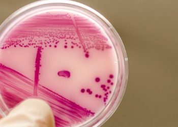 Forscher entdecken antibiotisches Potenzial von CBG