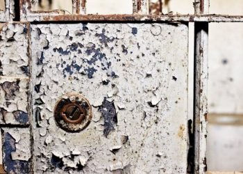 Last Prisoner Project – Freiheit für Cannabis-Gefangene