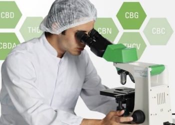 Cannamedical startet Fortbildungsprogramm für medizinisches Fachpersonal