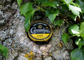 Cannadips-–-Geschmackvolles-CBD-für-unterwegs-1-1