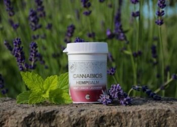 Einer für alles – Der Cannabios Hempbalm Minz, Zitrone, Lavendel
