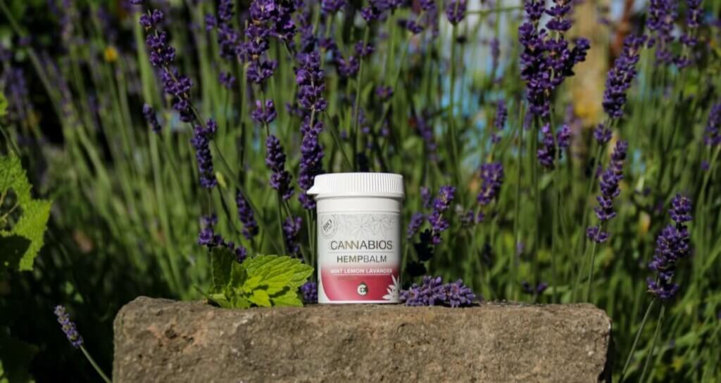 Einer-für-alles-Der-Cannabios-Hempbalm-Minz-Zitrone-Lavendel-1