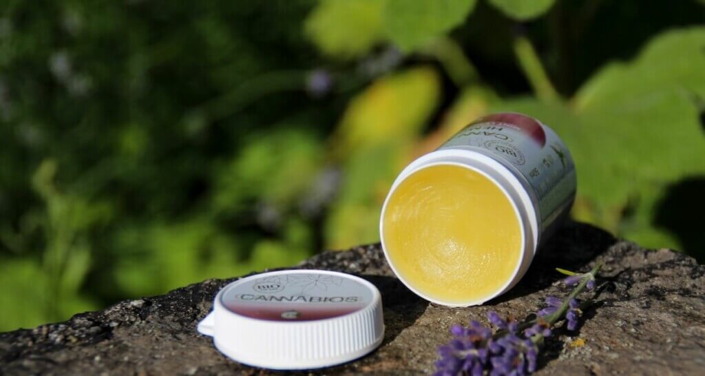 Einer-für-alles-Der-Cannabios-Hempbalm-Minz-Zitrone-Lavendel-2