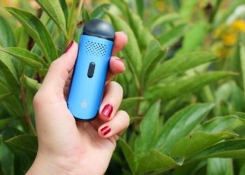 Flowermate CAP – Diskretion und Komfort zum kleinen Preis