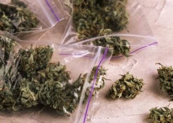 USA: Legales Cannabis mit Umsätzen in Milliardenhöhe