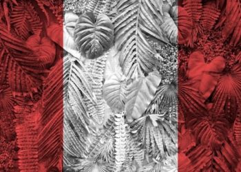 Neues medizinisches CBD-Produkt in Peru registriert