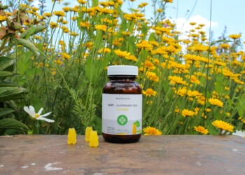 Neurogan Hanf Gummibärchen – Naschen Plus