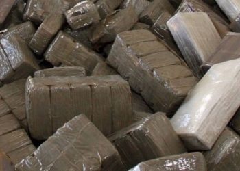 USA: Polizei findet Cannabis im Wert von sechs Millionen Dollar