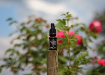 The Holy Company – 5% CBD auf Mohnöl Basis