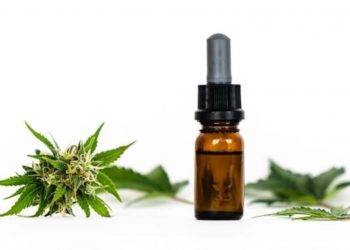 Stadt Düsseldorf verbietet Verkauf von CBD-haltigen Lebensmitteln