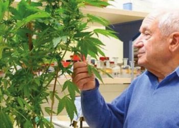 Dr. Raphael Mechoulam isoliert neues Cannabinoid mit medizinischem Potenzial