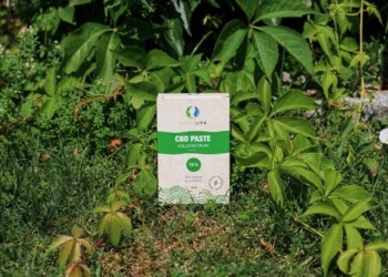 AlterLife CBD-Paste Vollspektrum 16%