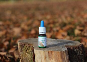 CannaLeven-CBD-Öl-für-Katzen-