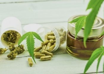 EU-Kommission und CBD-Bürokratie gegen die Vernunft