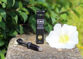 Golden Amber Paste – CBD von Pharma Hemp