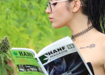 Hanf sei Dank auf der Insel – Erntedankfest in der Steiermark
