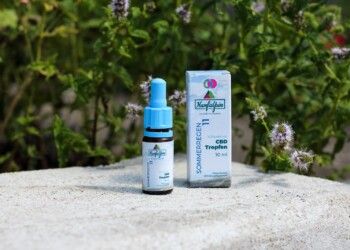 Hanfalpin Sommerregen 11 – Wasserlösliche CBD-Tropfen
