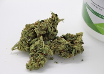 Apotheken-Strain: Indica Dark Star von Cannamedical