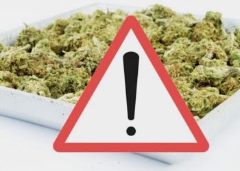 Schweiz: Neue Welle synthetischer Cannabinoide